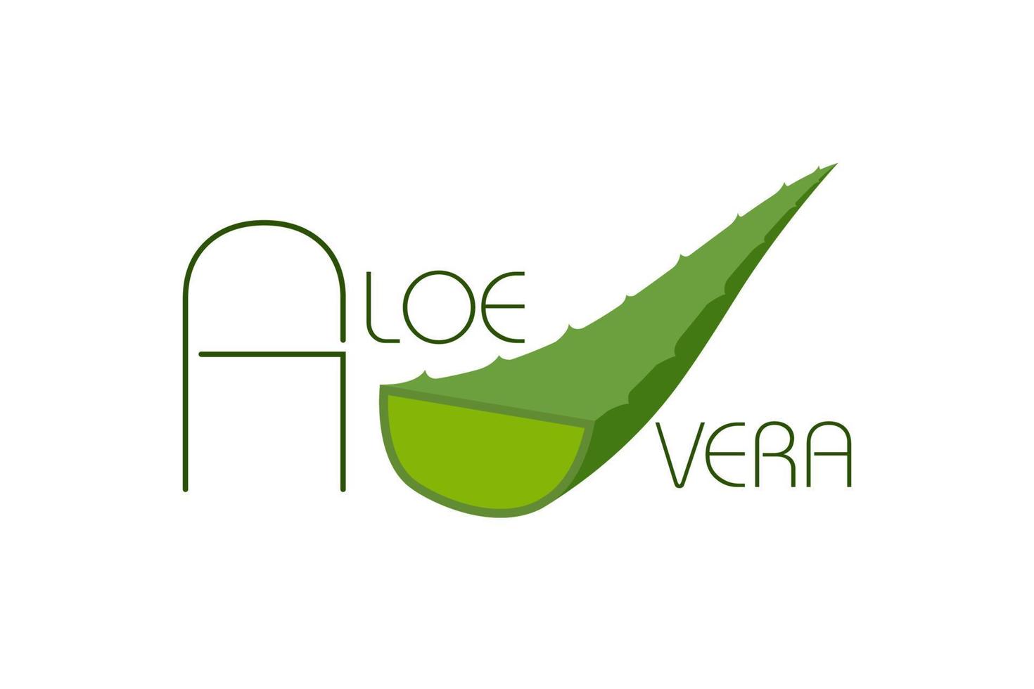 Aloe Vera grünes Logo-Symbol für natürliches Bio-Produktverpackungsetikett. Aloe Vera Blattzeichen für Kosmetik- oder Feuchtigkeitscreme-Verpackungsdesign-Vorlage. Vektor isoliert auf weißem Hintergrund