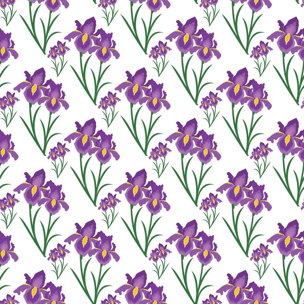 iris blomma med blad sömlösa mönster design vektor