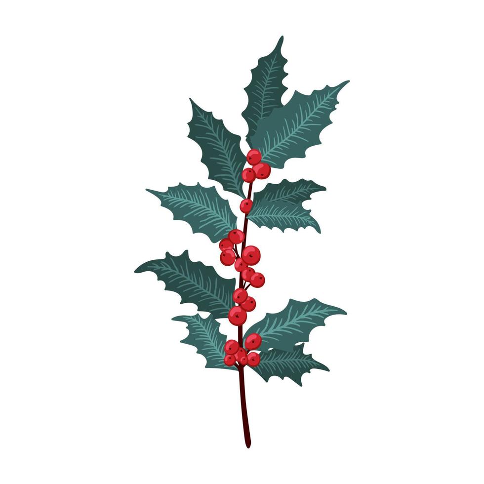 Weihnachtsstechpalmenbeere, grünes Blatt, rote Beere, Äste, Zweige. Vektorwinterillustration lokalisiert auf weißem Hintergrund für Weihnachtskarten und dekoratives Design. vektor