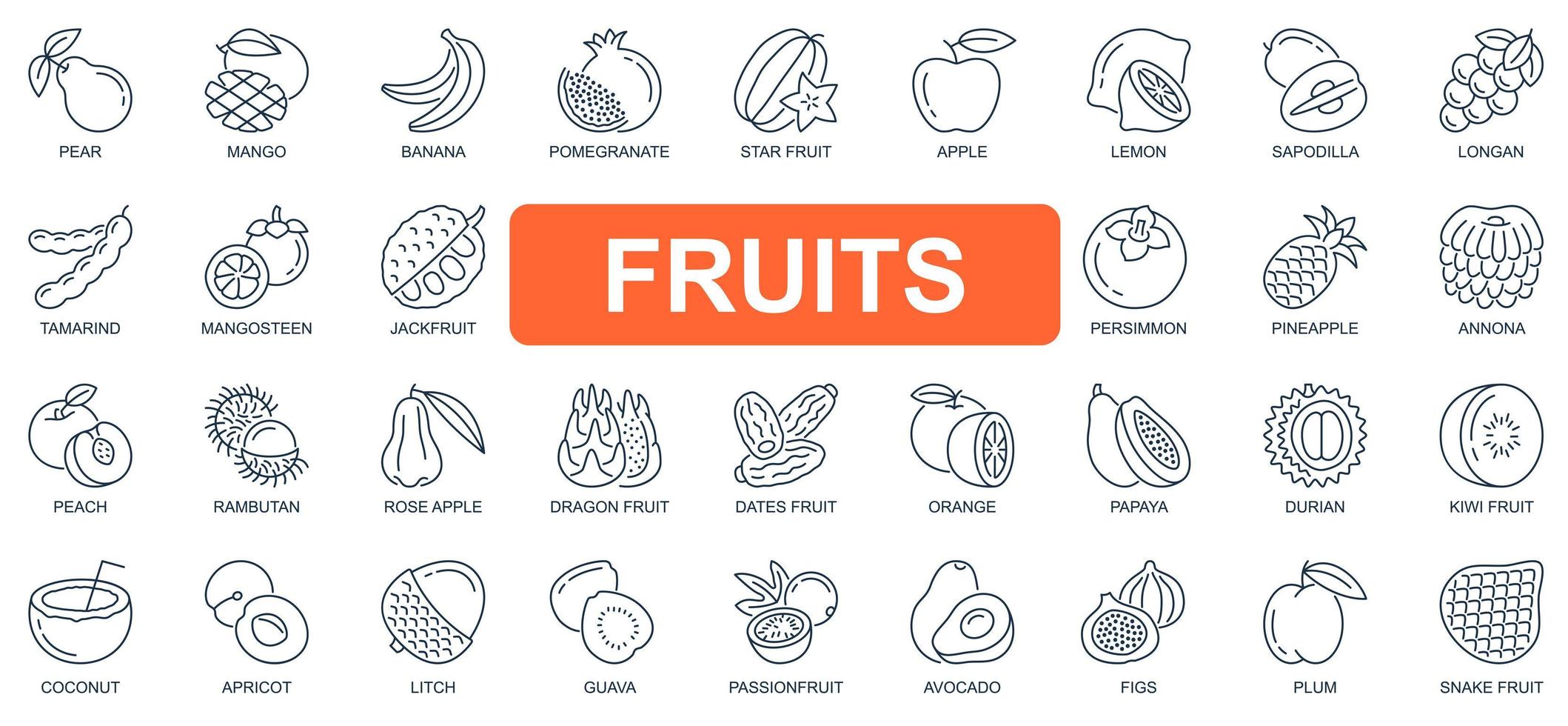 Früchte Konzept einfache Linie Icons Set. Pack Umriss-Piktogramme von Mango, Banane, Granatapfel, Apfel, Zitrone, Mangostan, Jackfrucht, Ananas und anderen. Vektorsymbole für Website- und mobile App-Design vektor