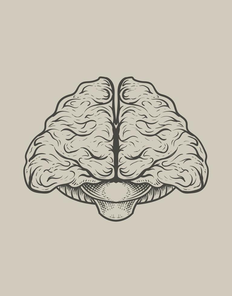 illustration antik hjärna med gravyr stil vektor