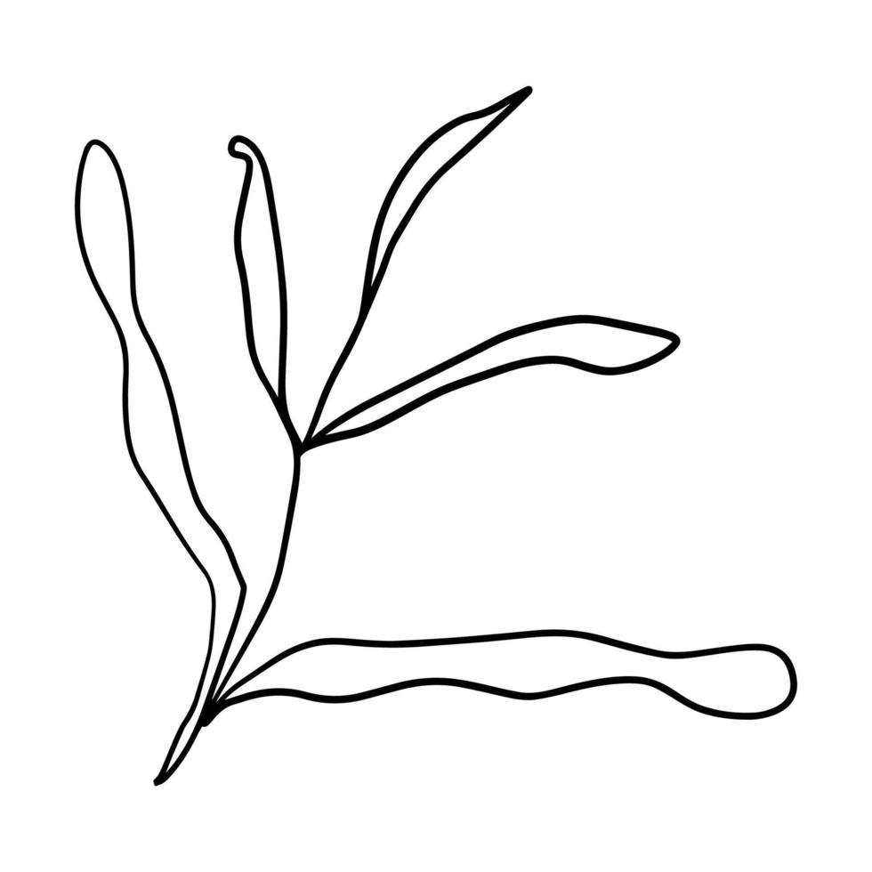 söt doodle blomma isolerad på vit bakgrund. tecknad trädgren, gräs, växtikon. buske isolerad. vektor