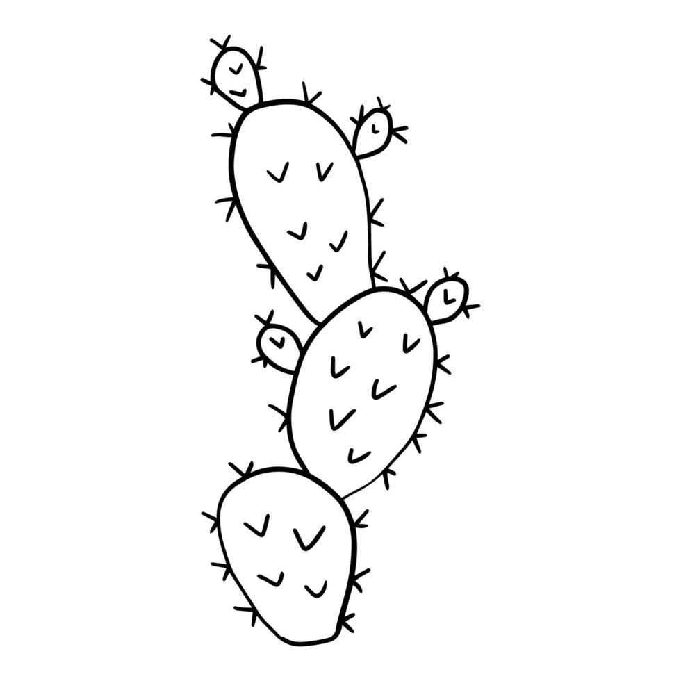 Cartoon-Doodle-Kaktus auf weißem Hintergrund. süßes florales Wüstenelement im kindlichen Stil. vektor