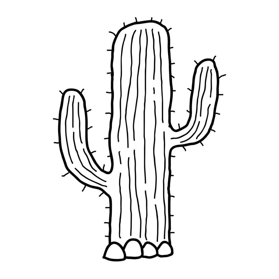 söt tecknad doodle linjär kaktus i öknen isolerad på vit bakgrund. vektor