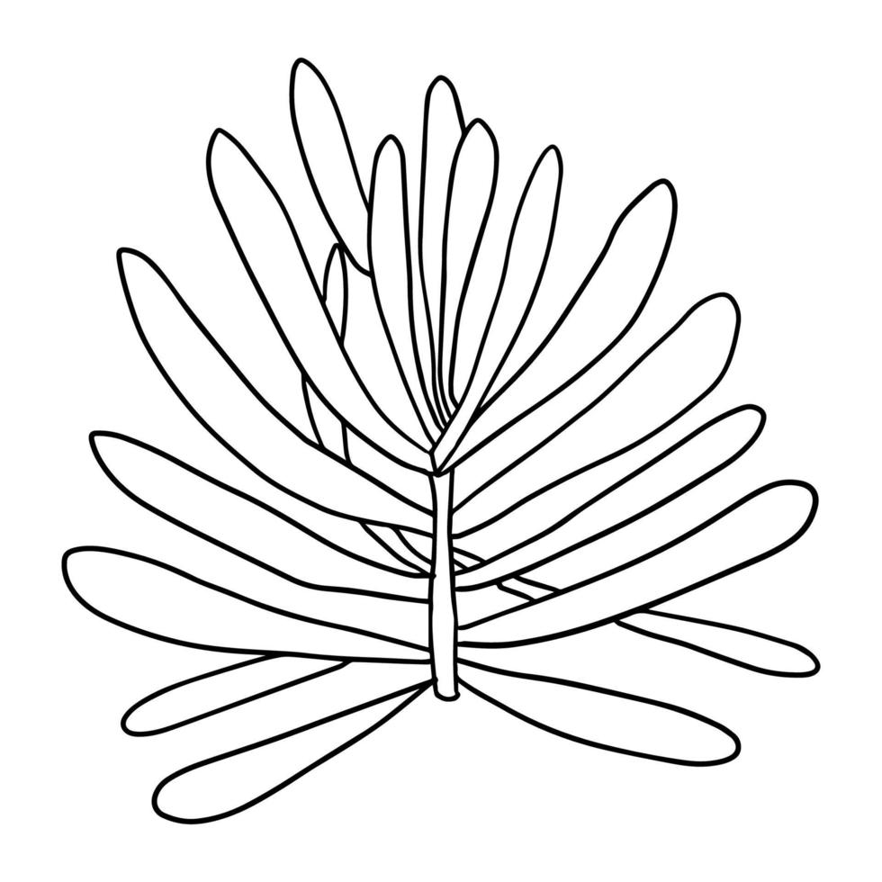 süße Doodle saftige Blume isoliert auf weißem Hintergrund. Cartoon-Pflanze-Symbol. Busch isoliert. vektor