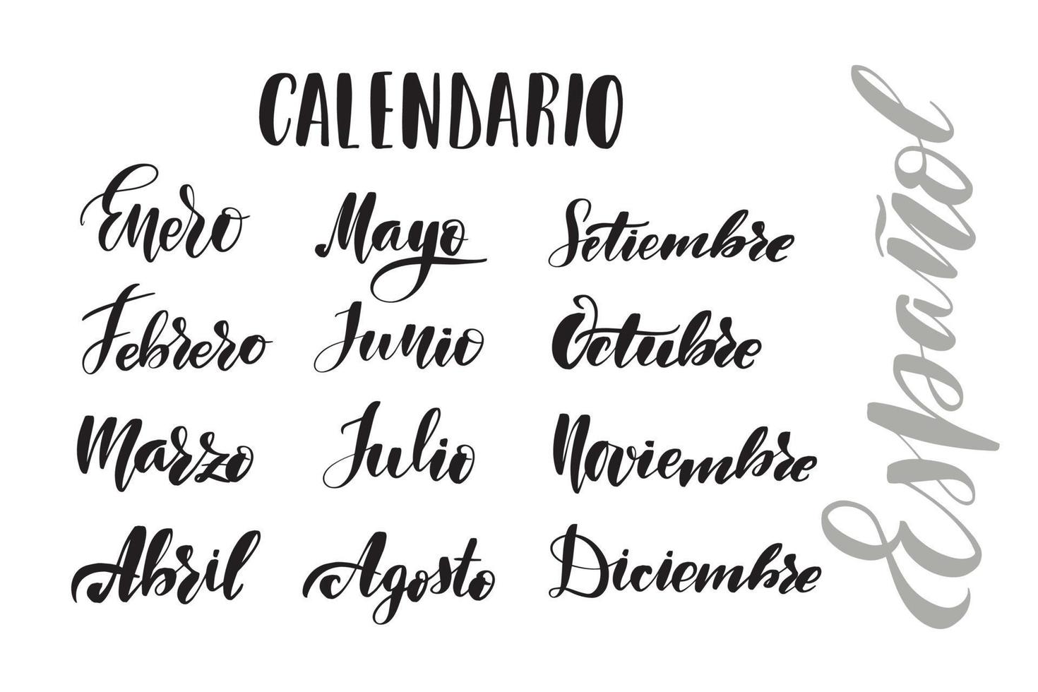 inspirerande handskrivna borstbokstäver månader på spanska. vektor kalligrafi illustration isolerad på vit bakgrund. typografi för banderoller, märken, vykort, t-shirt, tryck, affischer.