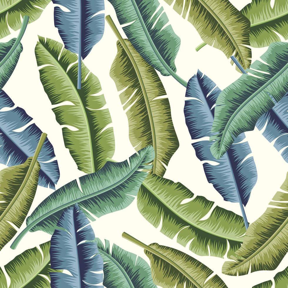 Bananenblätter, Dschungelblätter nahtloser Blumenmusterhintergrund vektor