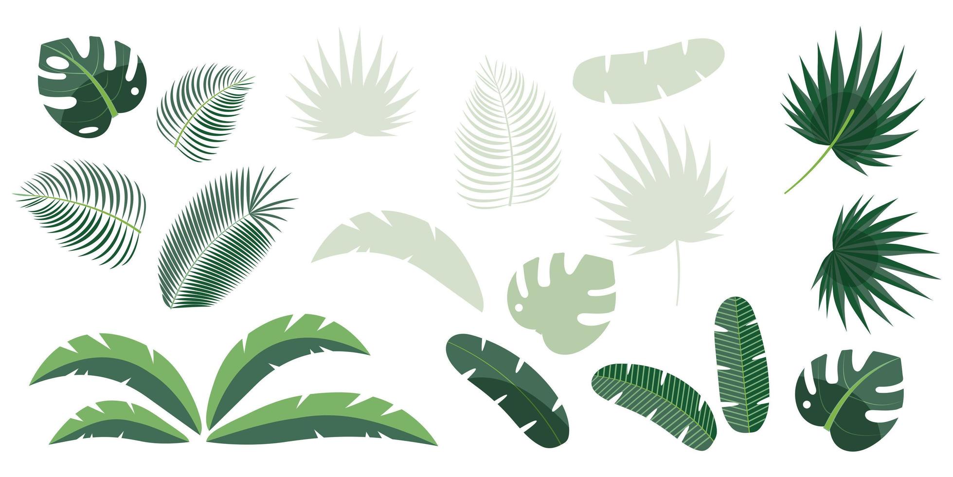 uppsättning tropiska blad av palm, ormbunke, monstera, banan isolerad på vit bakgrund. vektor