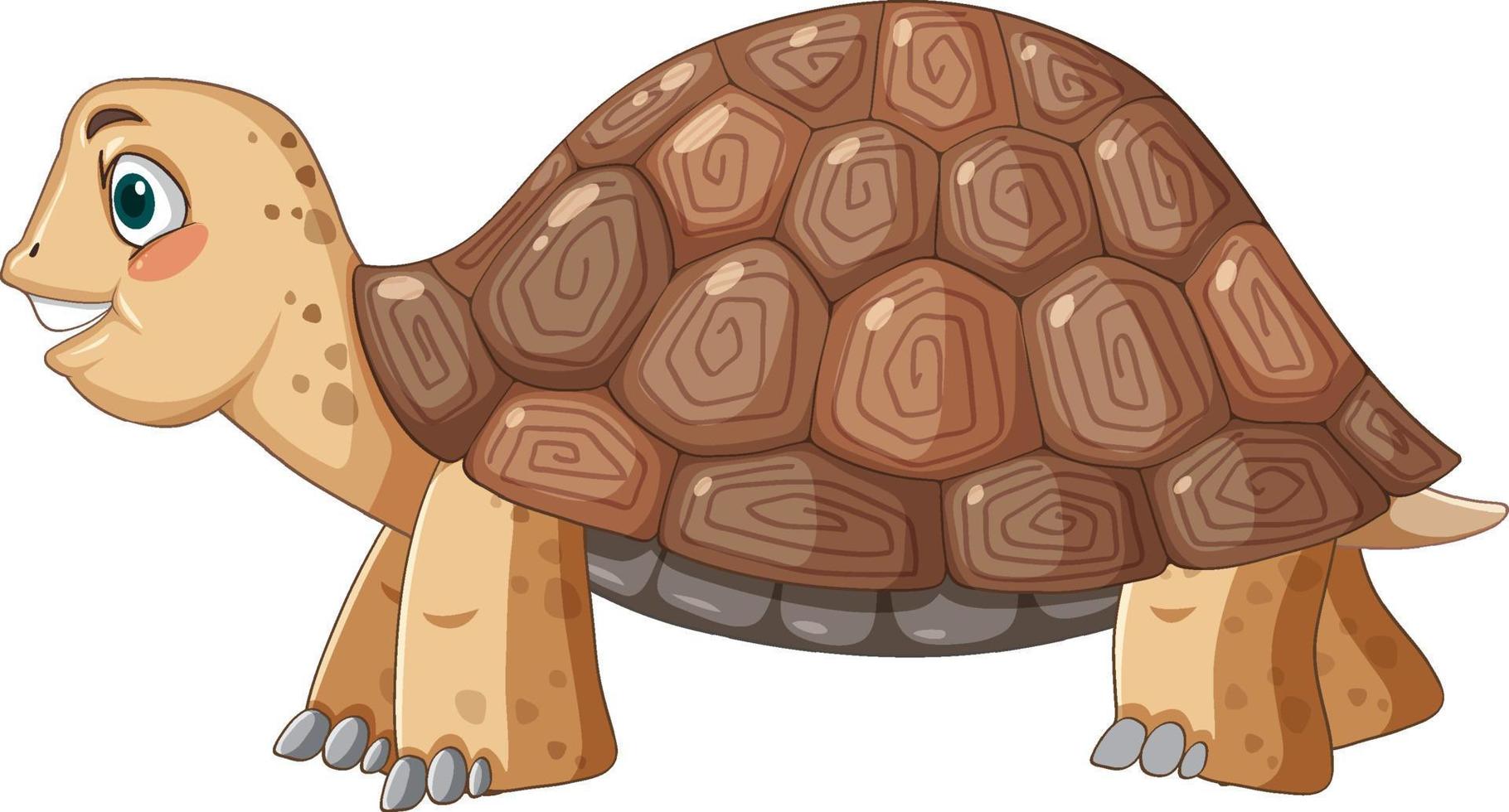 sidovy av sköldpadda med brunt skal i tecknad stil vektor