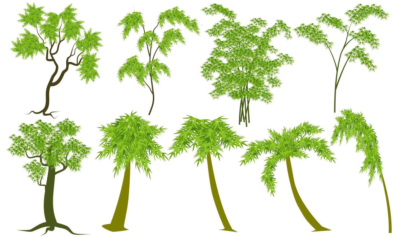 Vektoren-Baum-Set isoliert auf weißem Hintergrund vektor