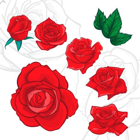 Blüht Rosen, Knospen und grüne Blätter. Rosen Set Sammlung. Rose Symbol und Symbol vektor