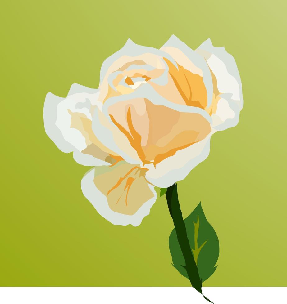 Vektor-Illustration von schönen Rosen vektor