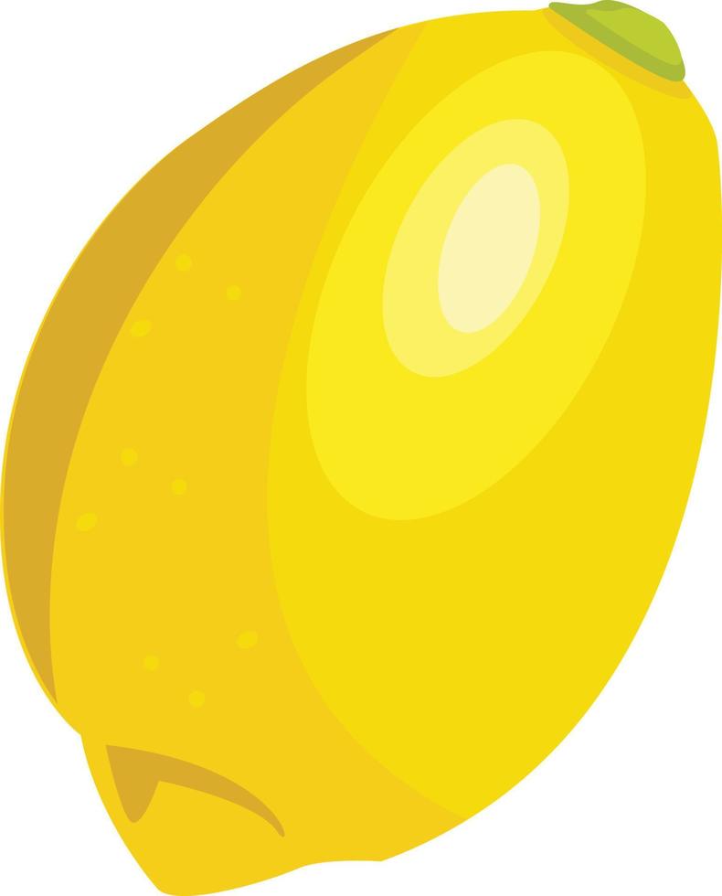 citron frukt vektor