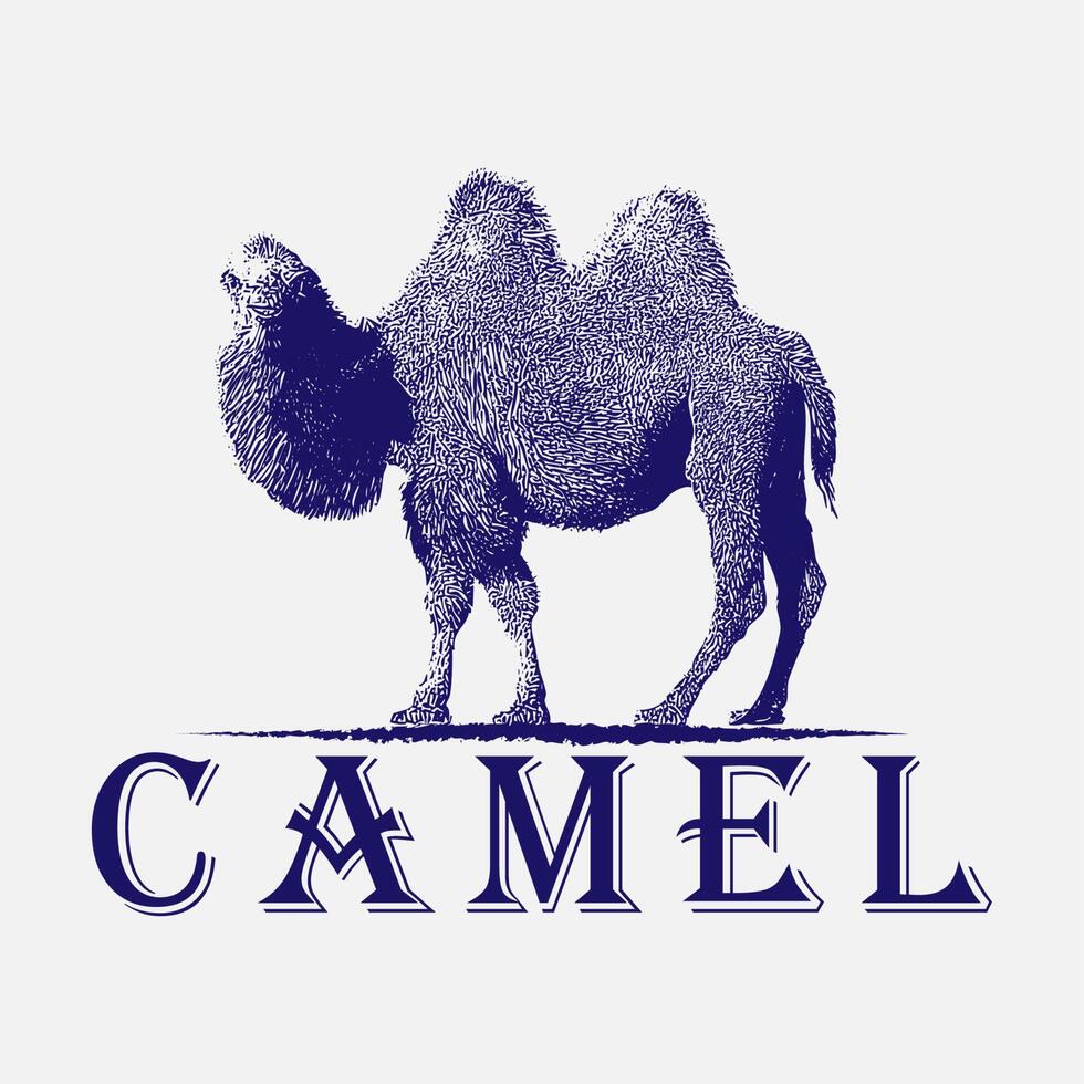 kamel vintage logo illustration, vektor, symbol, djur, design, tecken, grafisk, siluett, isolerad, natur, konst, bakgrund, arabiska, ikon, vild, turism, emblem, resa, öken, arab, egypten vektor