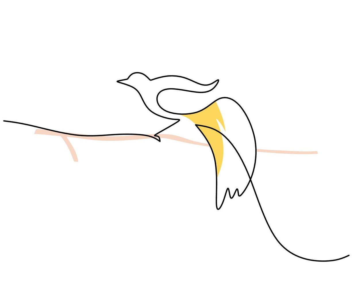 eine durchgehende einzelne Linie von cendrawasih berühmten Vogellinienkunst vektor