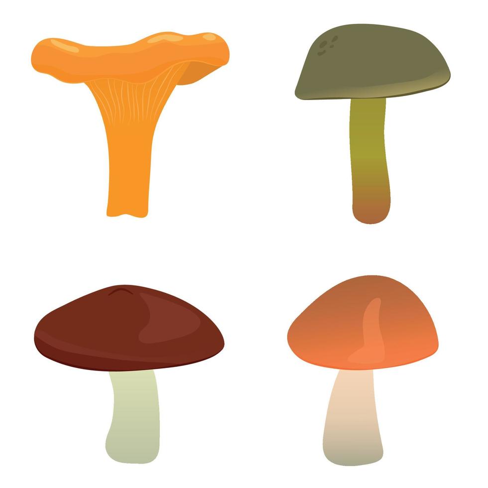 Cartoon-Set von essbaren Pilzen. Pfifferlinge, Boletus luteus, Boletaceae, Leccinum Rotkappen-Scaber-Stiel. flache Vektorillustration vektor