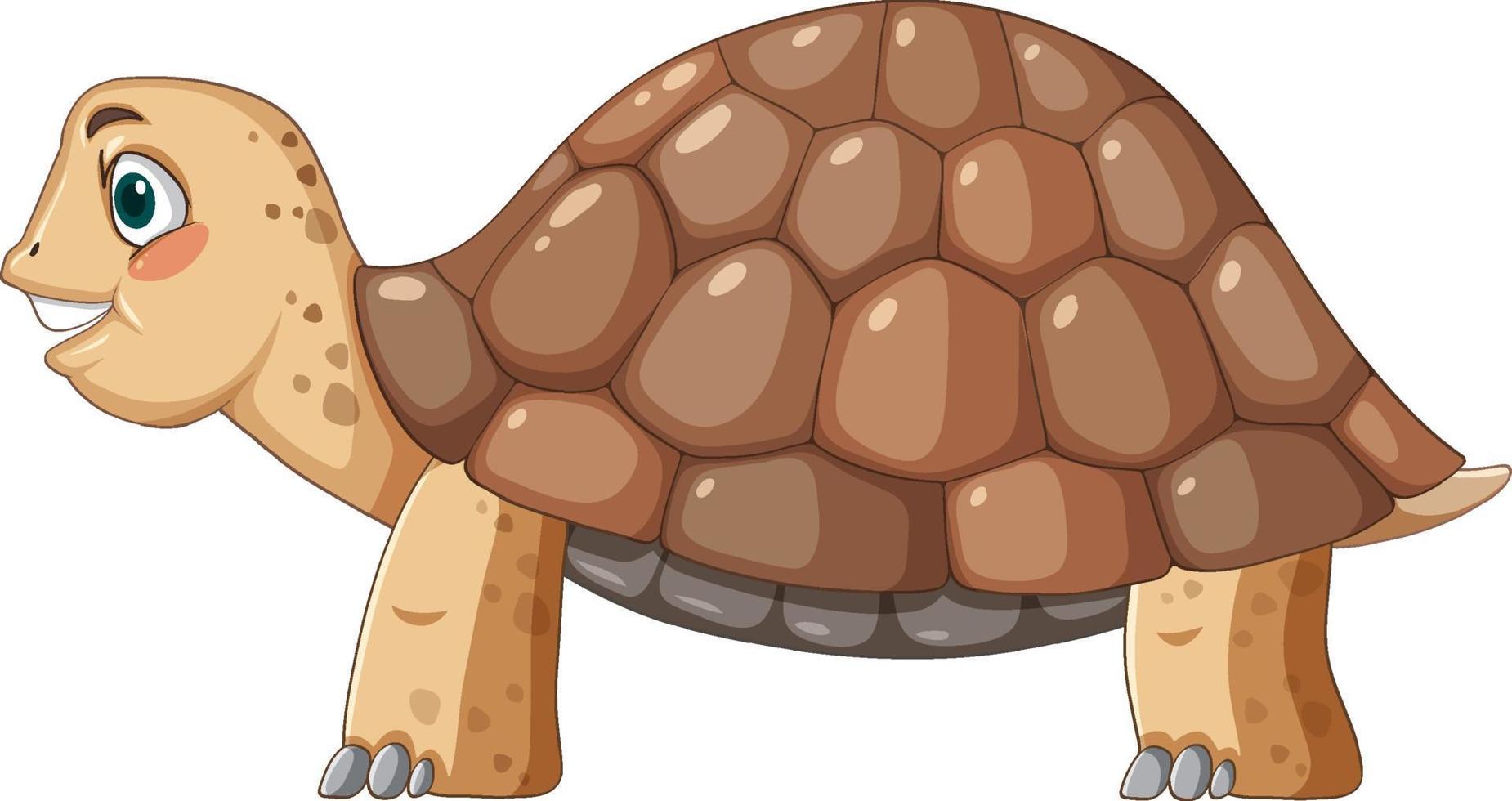 Seitenansicht der Schildkröte mit braunem Panzer im Cartoon-Stil vektor