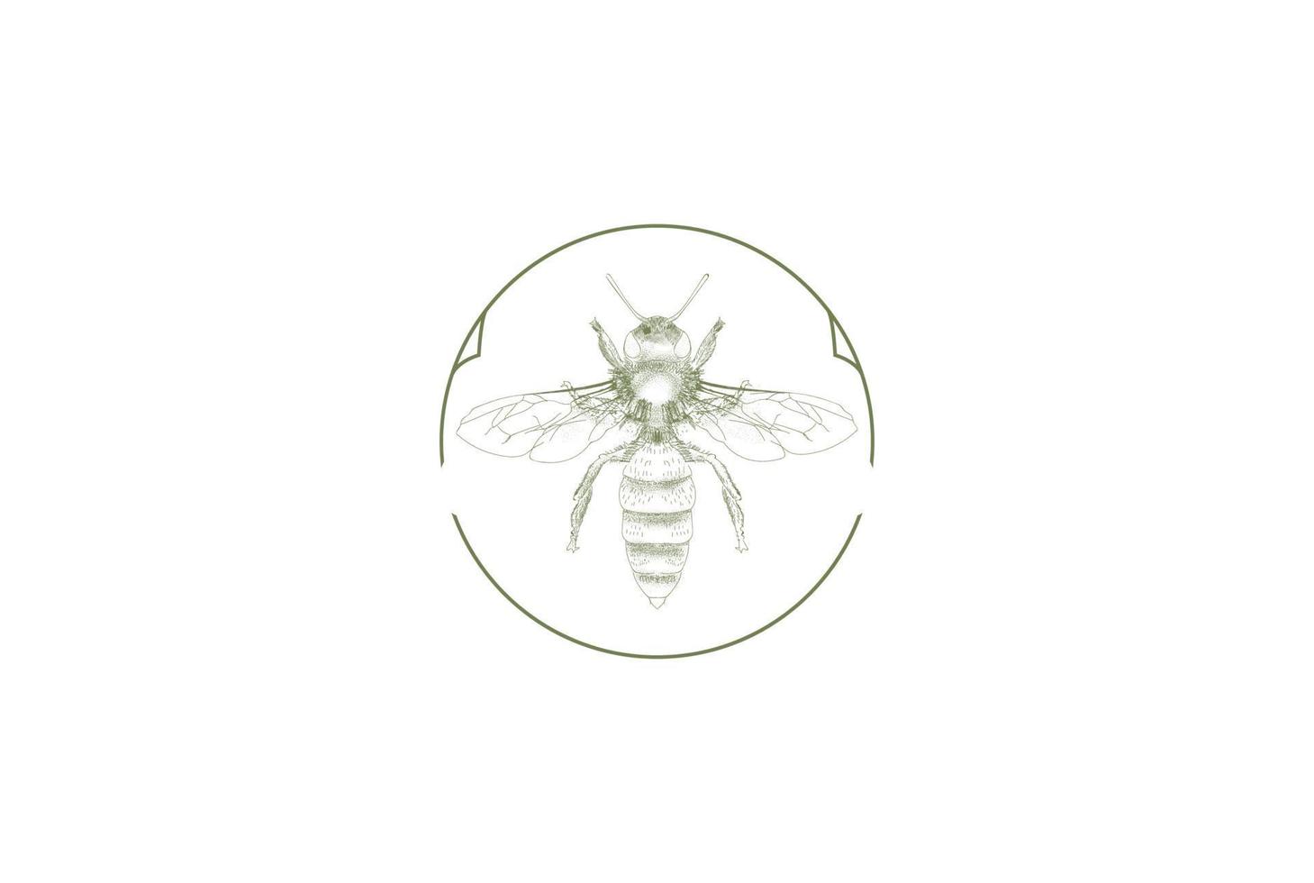 Retro-Vintage-Biene für Honigfarm-Produkt-Label-Logo-Design-Vektor vektor
