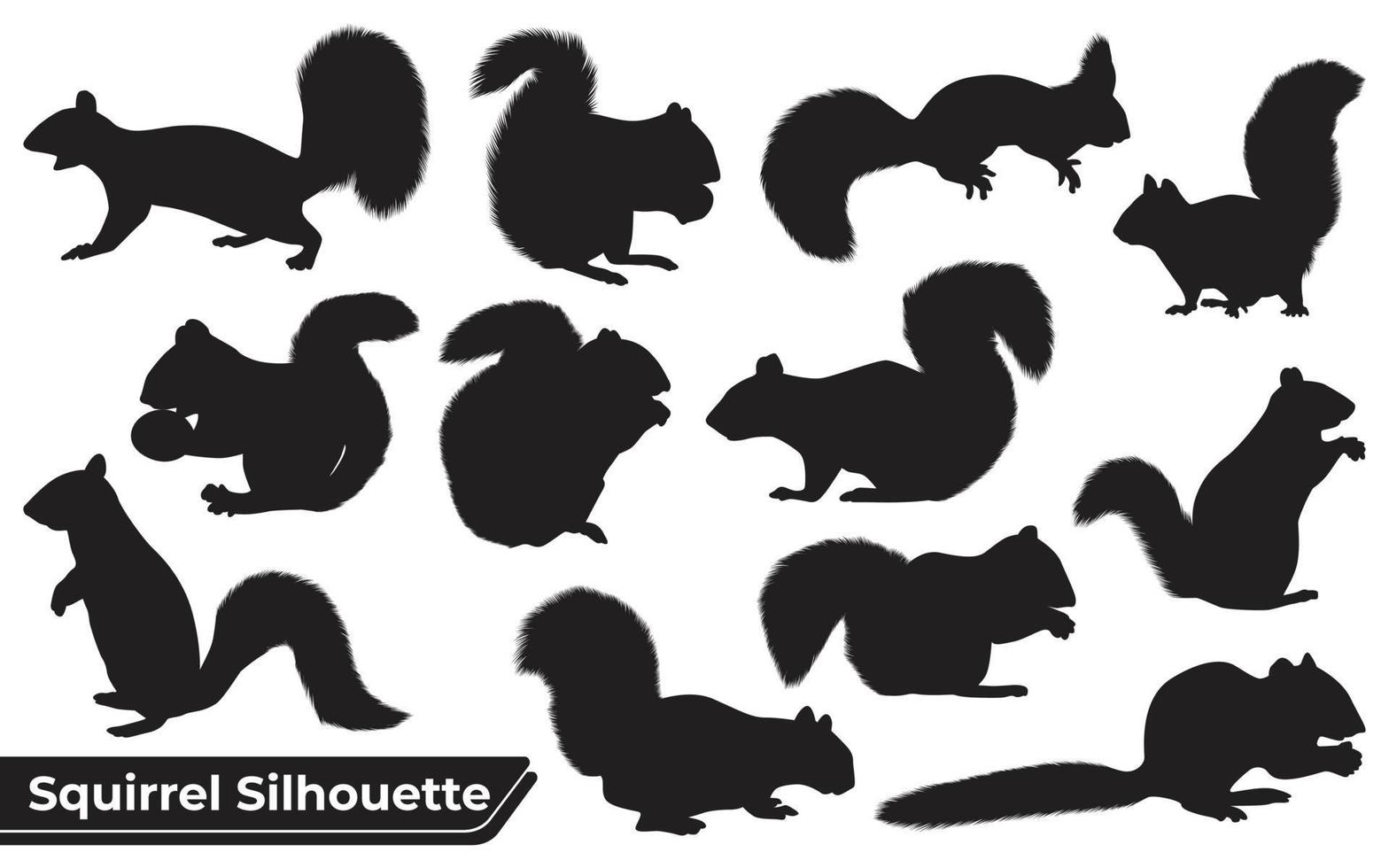 Sammlung von Tier-Eichhörnchen-Silhouette-Vektor vektor