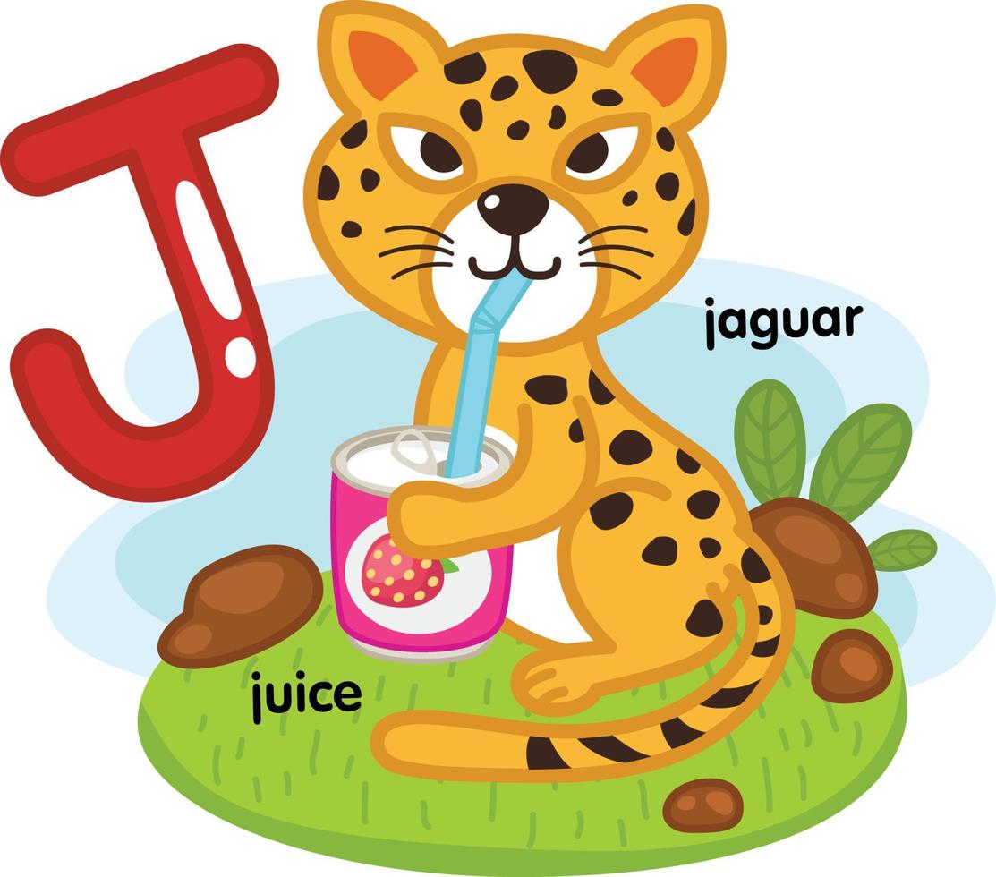 alfabetet isolerade bokstaven j-juice-jaguar illustration, vektor