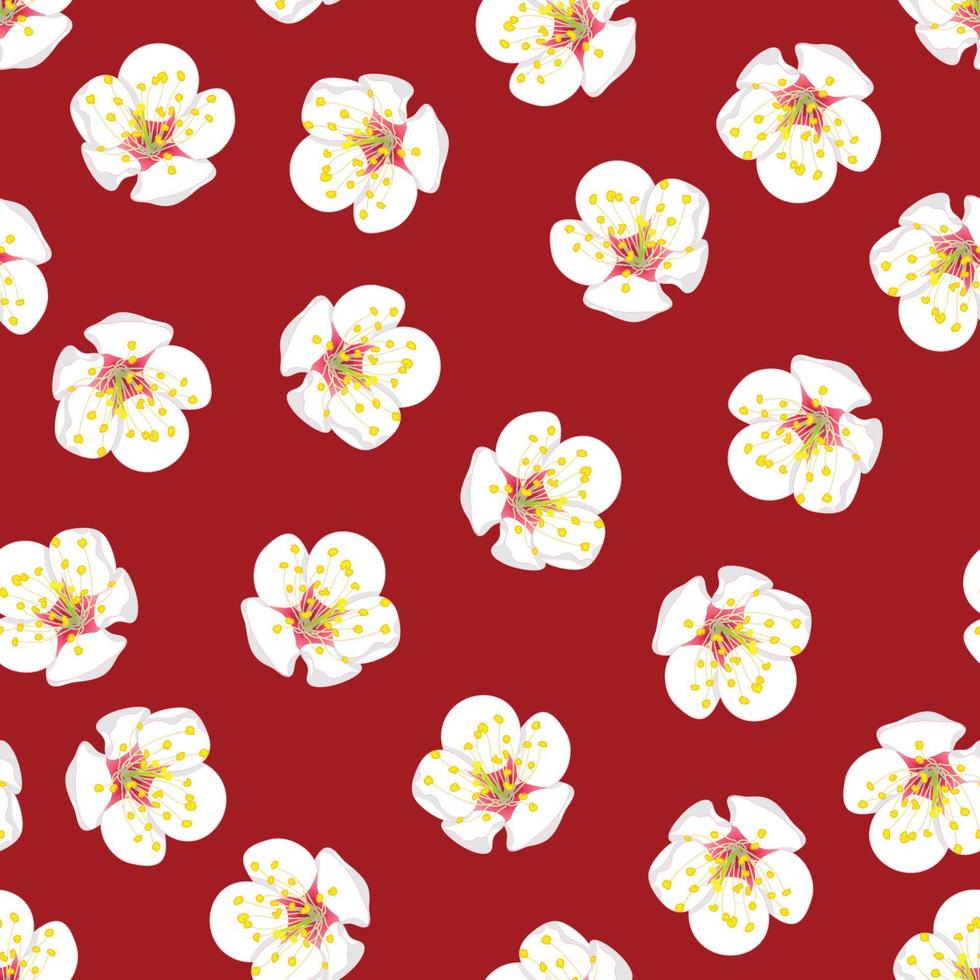 weiße Pflaumenblütenblume nahtlos auf rotem Hintergrund. vektor