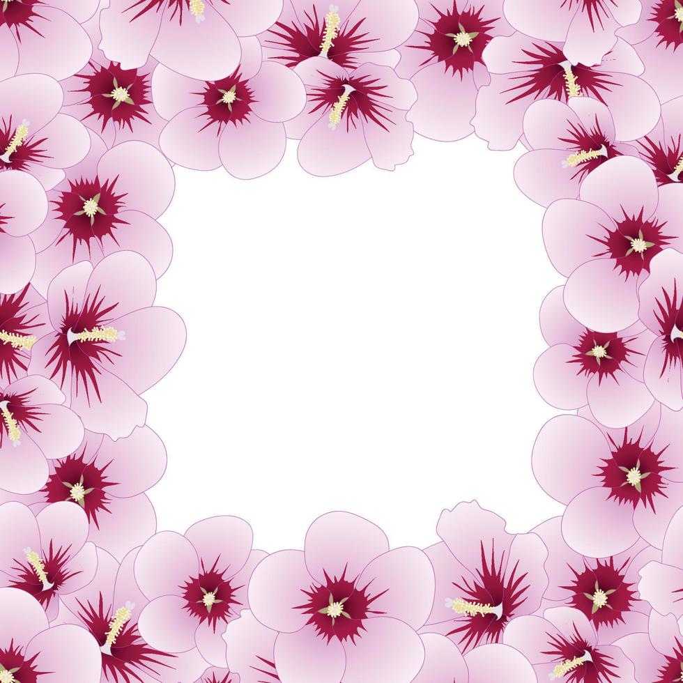 hibiscus syriacus - Rose von Sharon-Grenze. vektor