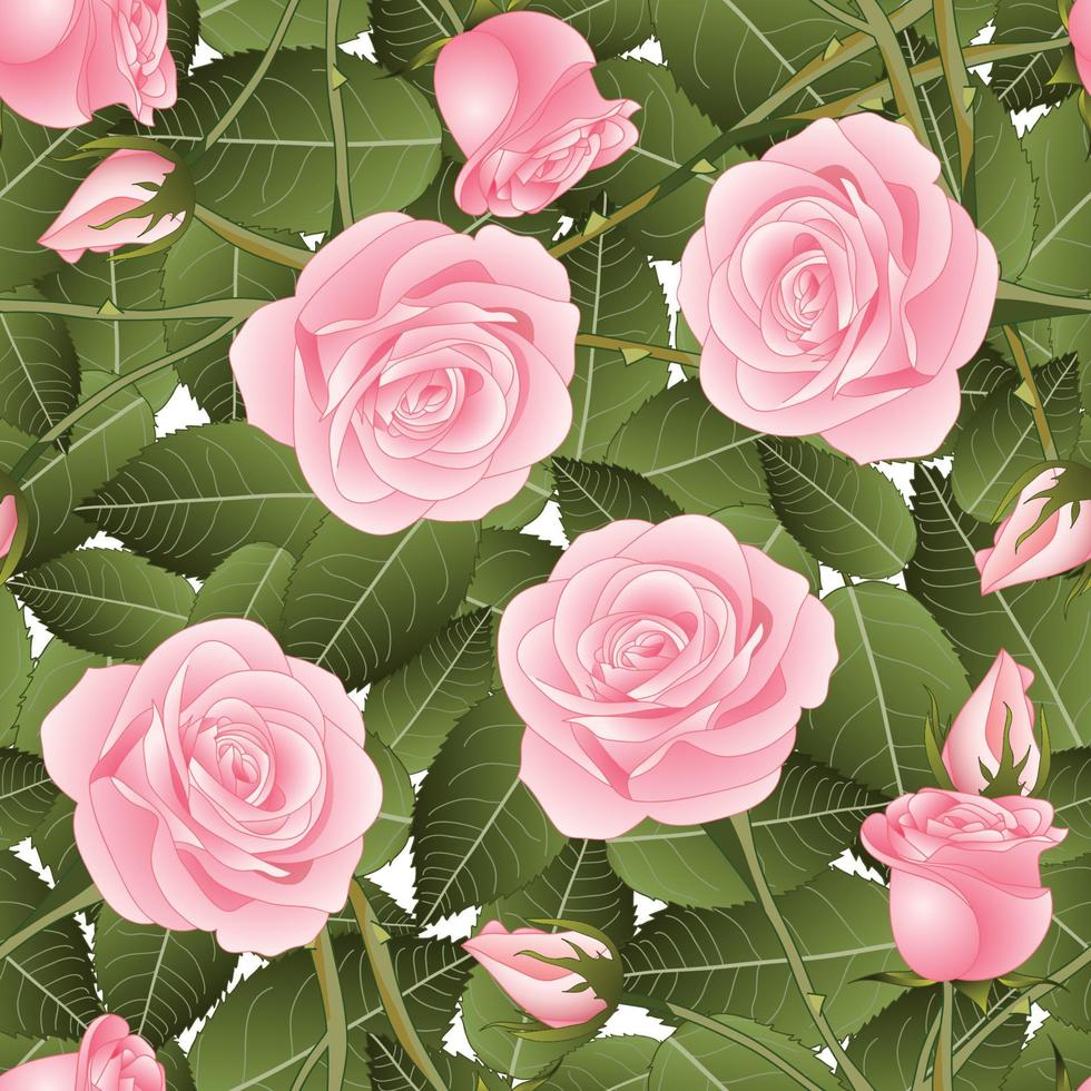 rosa Rose und grüne Blätter auf weißem Hintergrund vektor