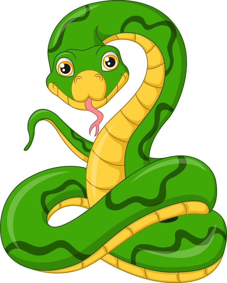 süßer grüner Schlangen-Cartoon auf weißem Hintergrund vektor