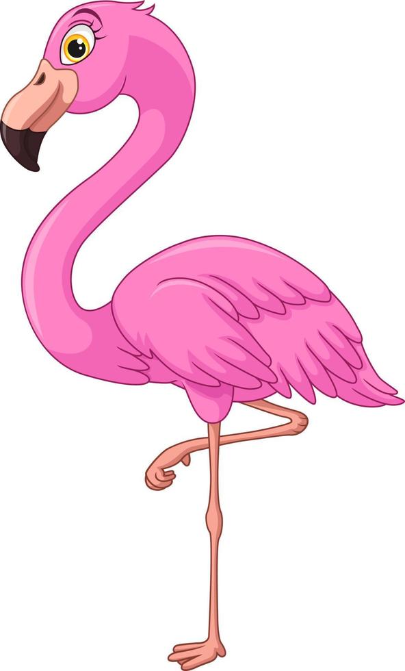 Cartoon-Flamingo auf weißem Hintergrund vektor