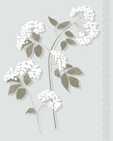 weiße botanische Vektorgrafik vektor