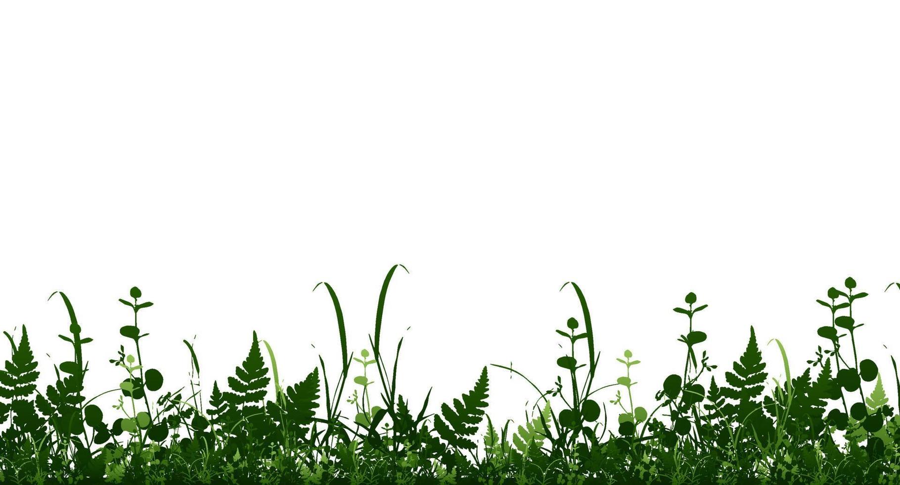 vektor ljusgrön realistiska sömlösa gräs gränsen isolerade bakgrund. vektor illustration