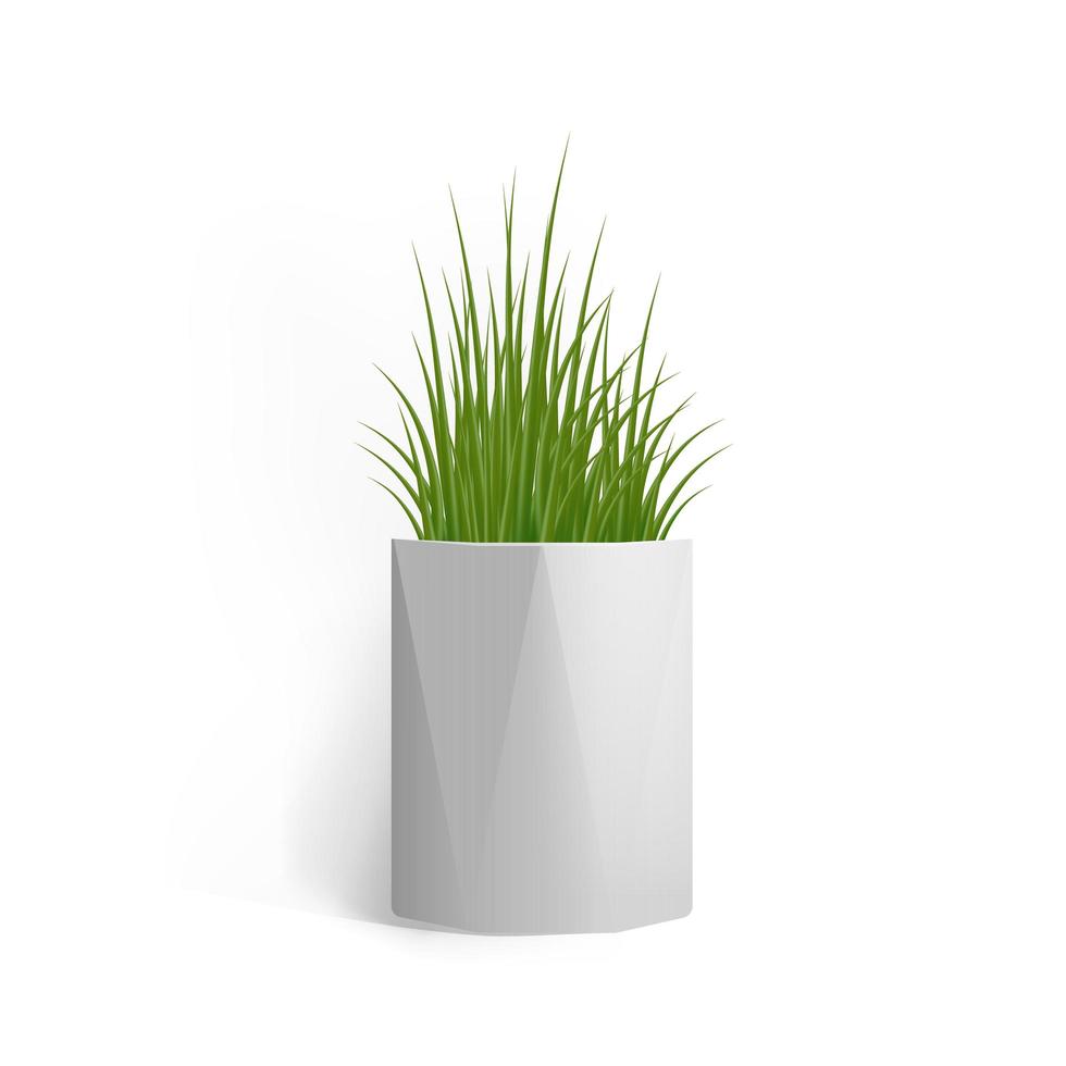 frisches grünes Gras in einem rechteckigen weißen Topf. Topf im Loft-Stil. Wohnkultur-Element. Symbol für Wachstum und Ökologie. realistische Vektorgrafik isoliert. vektor