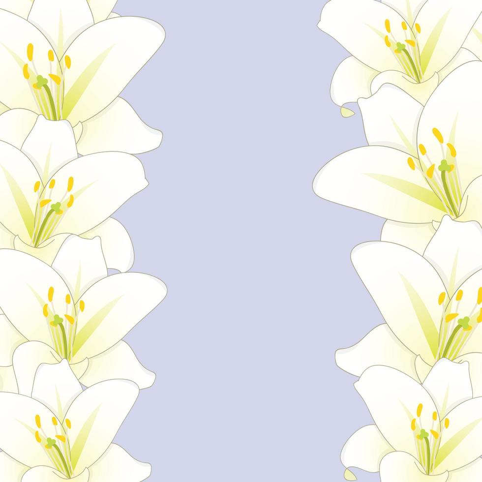 weiße Lilie Blumengrenze auf lila Hintergrund isoliert vektor