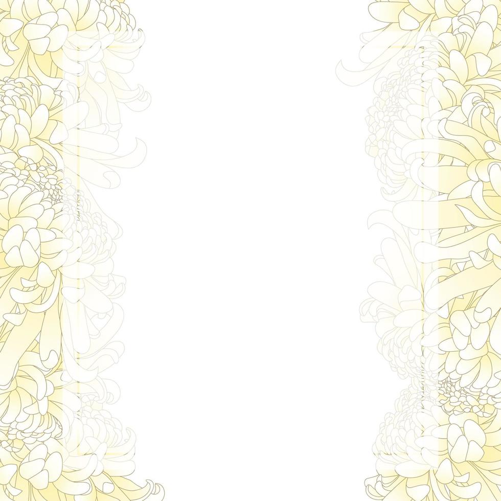 weiße Chrysantheme Blumenbanner Kartenrand vektor