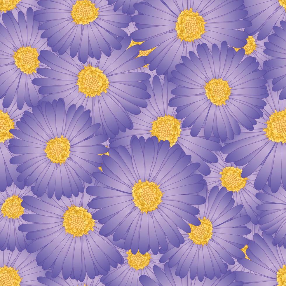 lila Aster, nahtloser Hintergrund der Gänseblümchen-Blume vektor