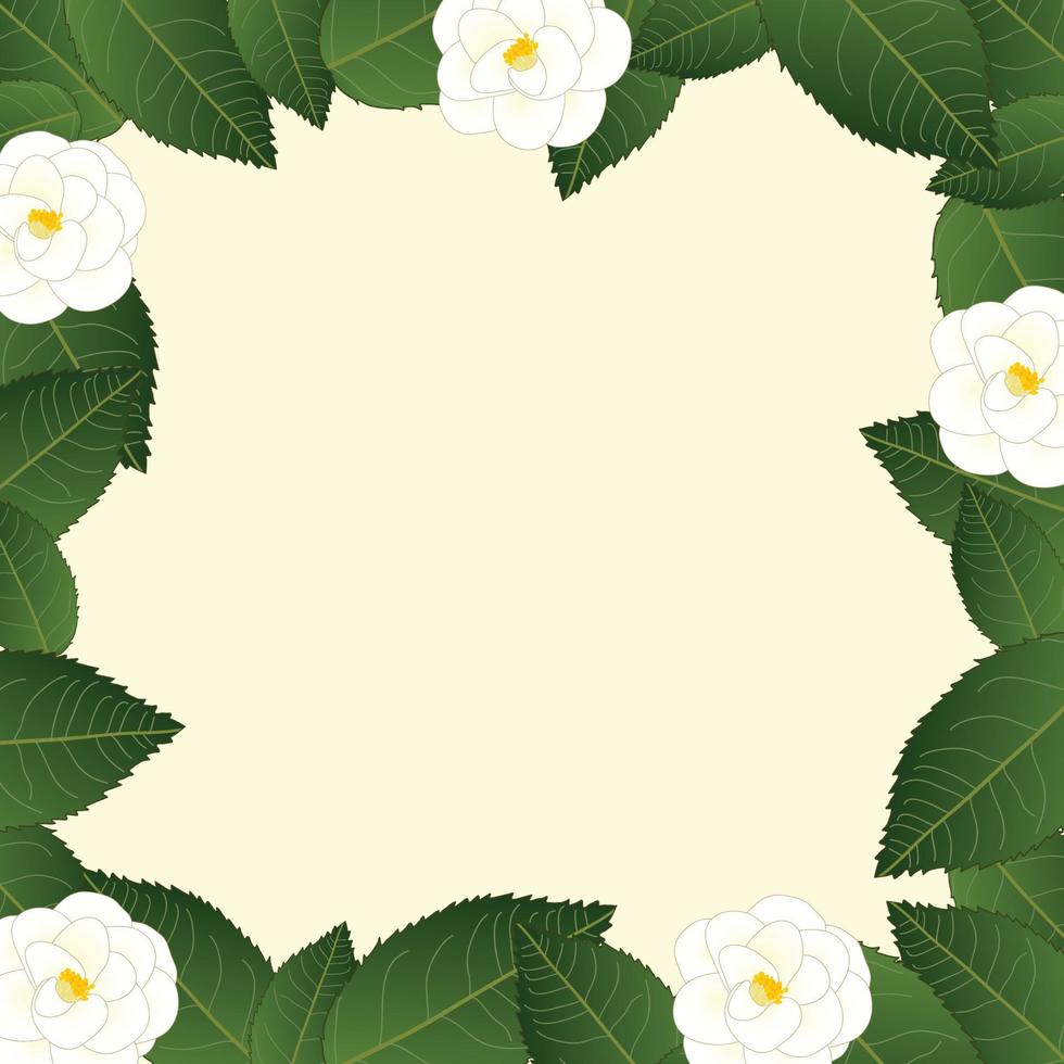 vit camellia blomma ram kant vektor