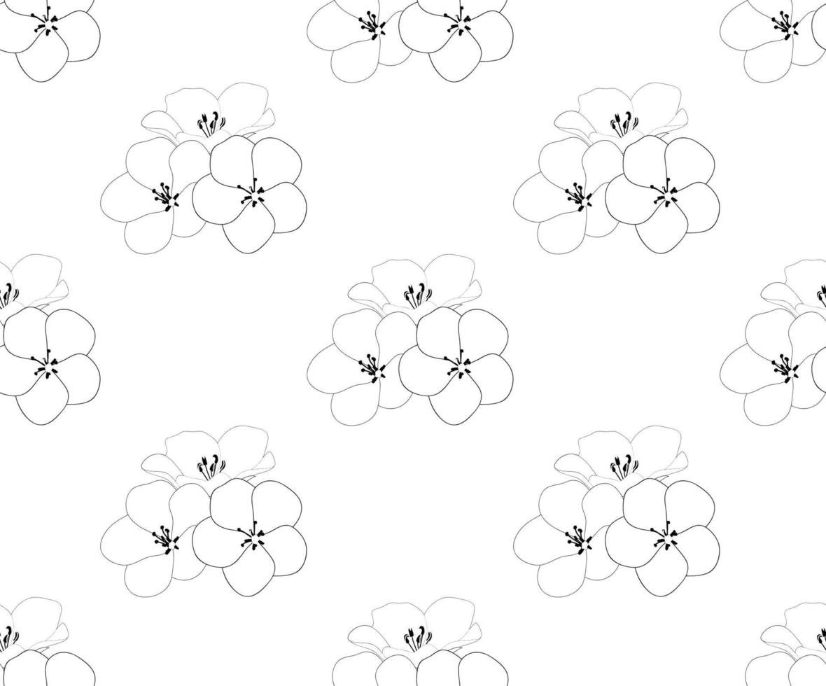 nemophila baby blå ögon blomma sömlös vektor