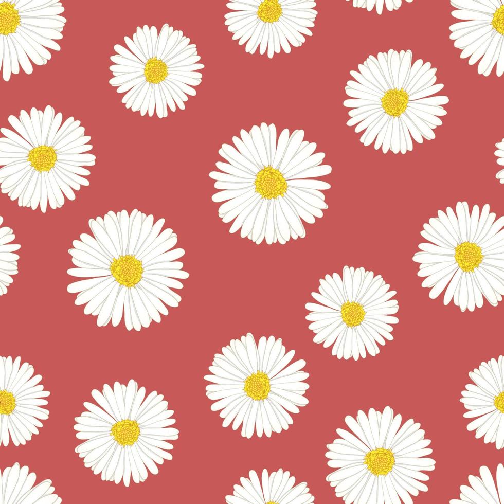 vit aster, daisy sömlös på röd bakgrund vektor