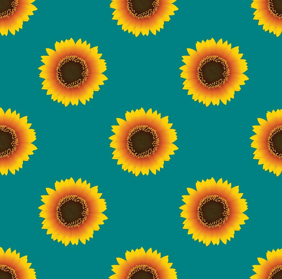 Sonnenblume nahtlos auf grünblauem Hintergrund vektor