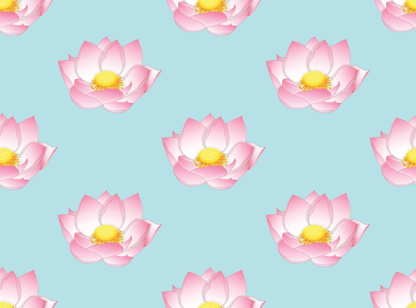 rosa indischer Lotus auf hellblauem Hintergrund vektor