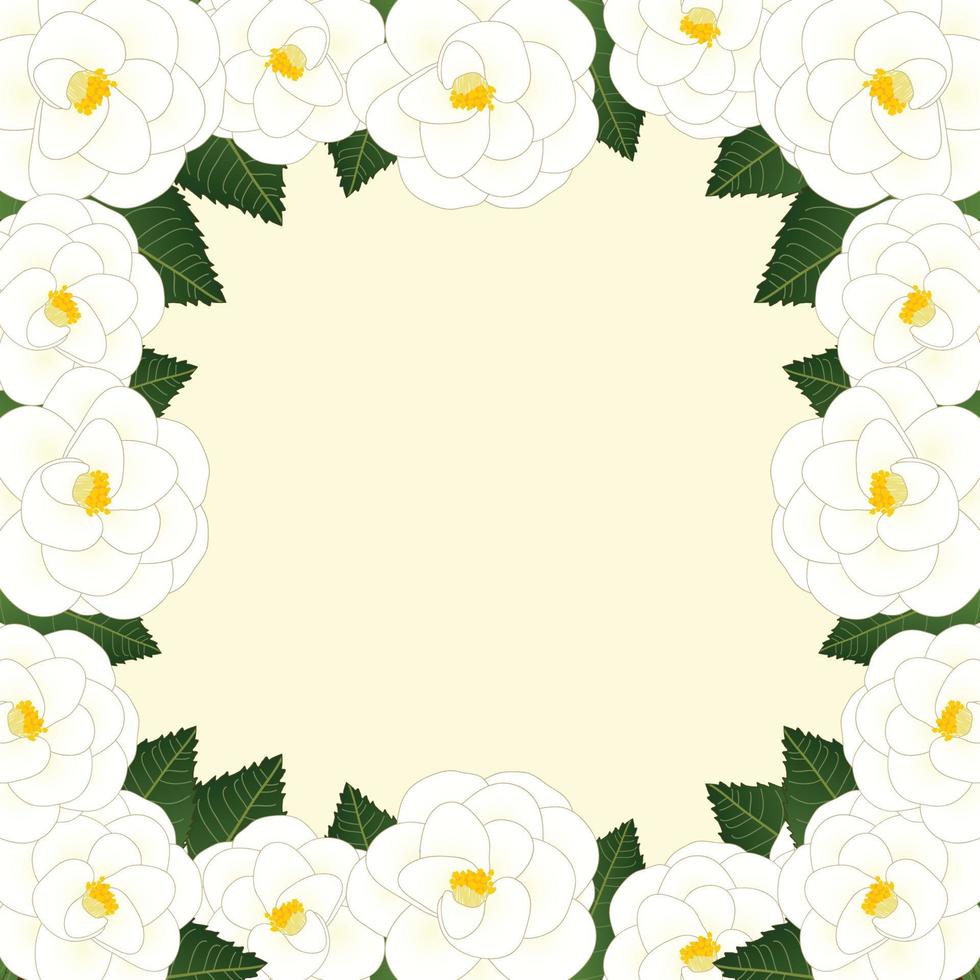 vit kamelia blomma ram border.vector illustration. vektor