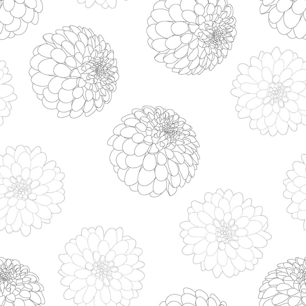 dahlia blomma kontur vit bakgrund vektor