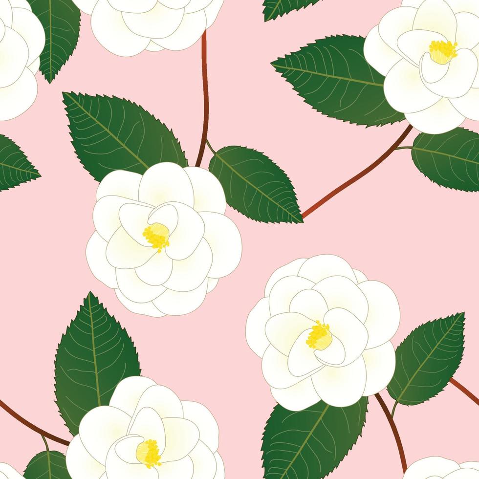 vit camellia blomma på rosa bakgrund. vektor illustration
