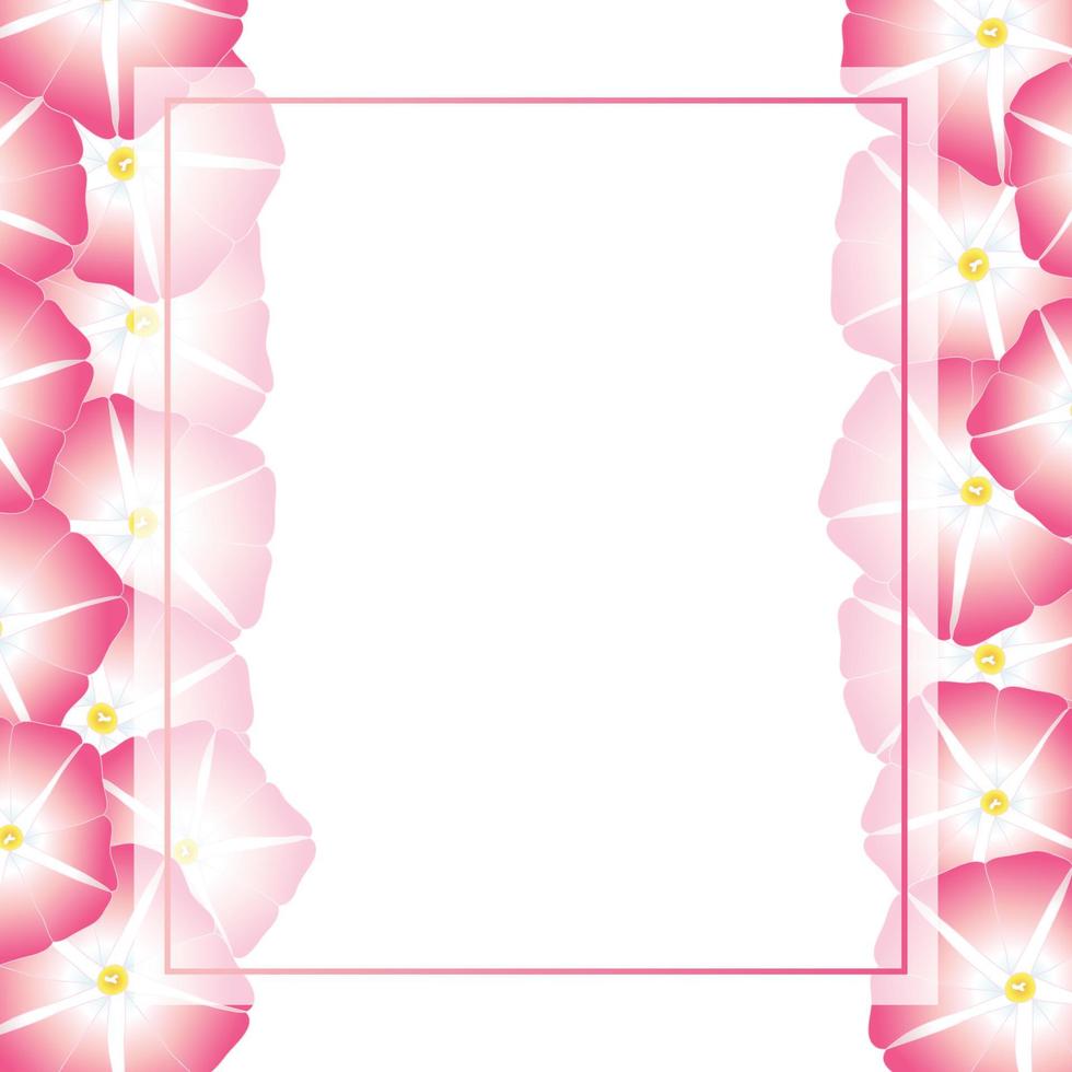 rosa morning glory blomma banner kort gränsen vektor