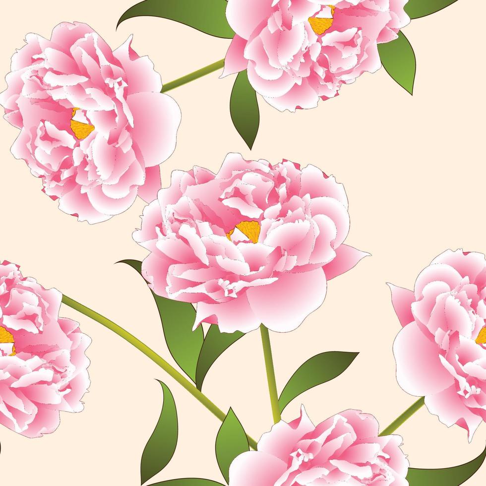 rosa pion blomma på beige elfenben bakgrund. vektor illustration