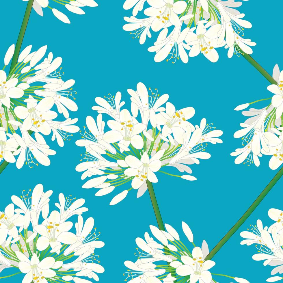 schneeweißer Agapanthus auf blauem Hintergrund. Vektor-Illustration vektor