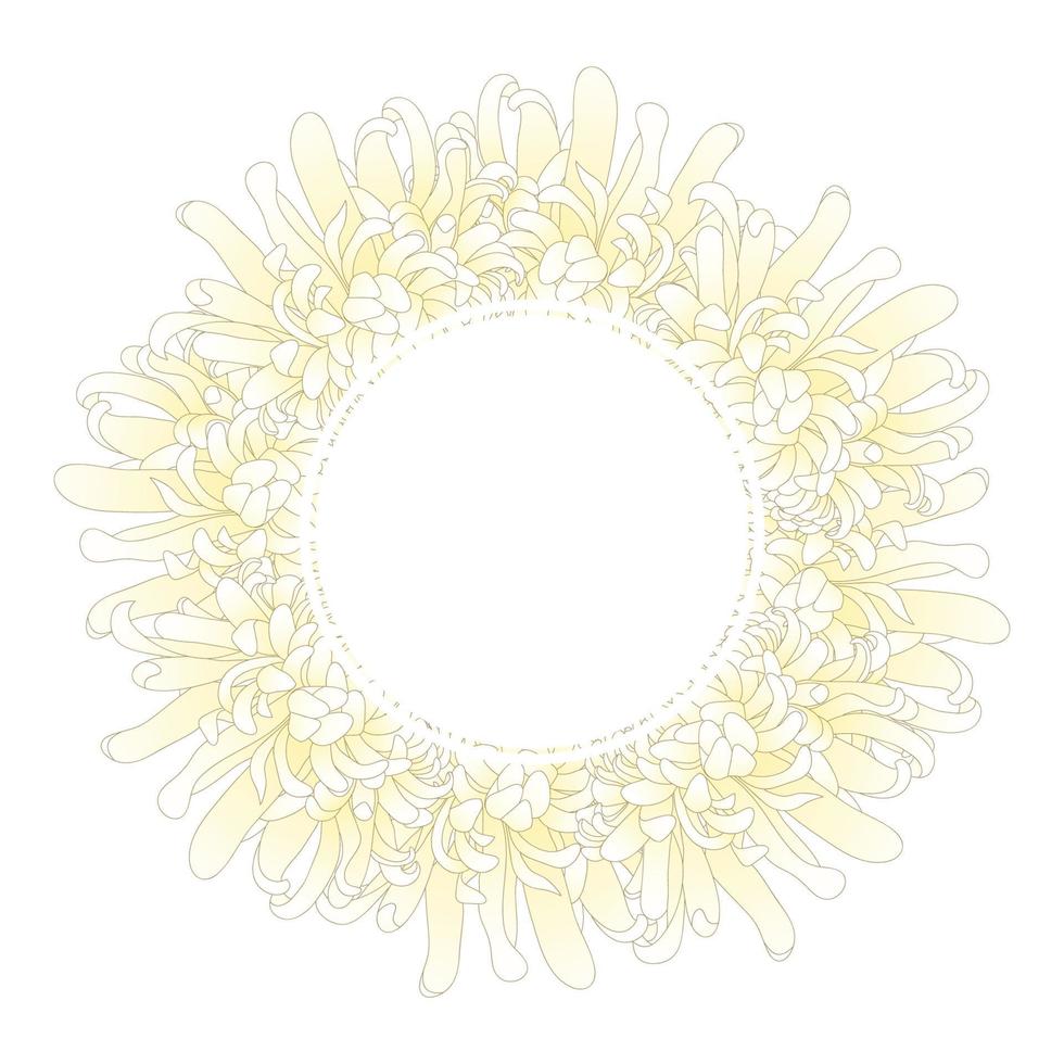 vit krysantemum blomma banner krans vektor