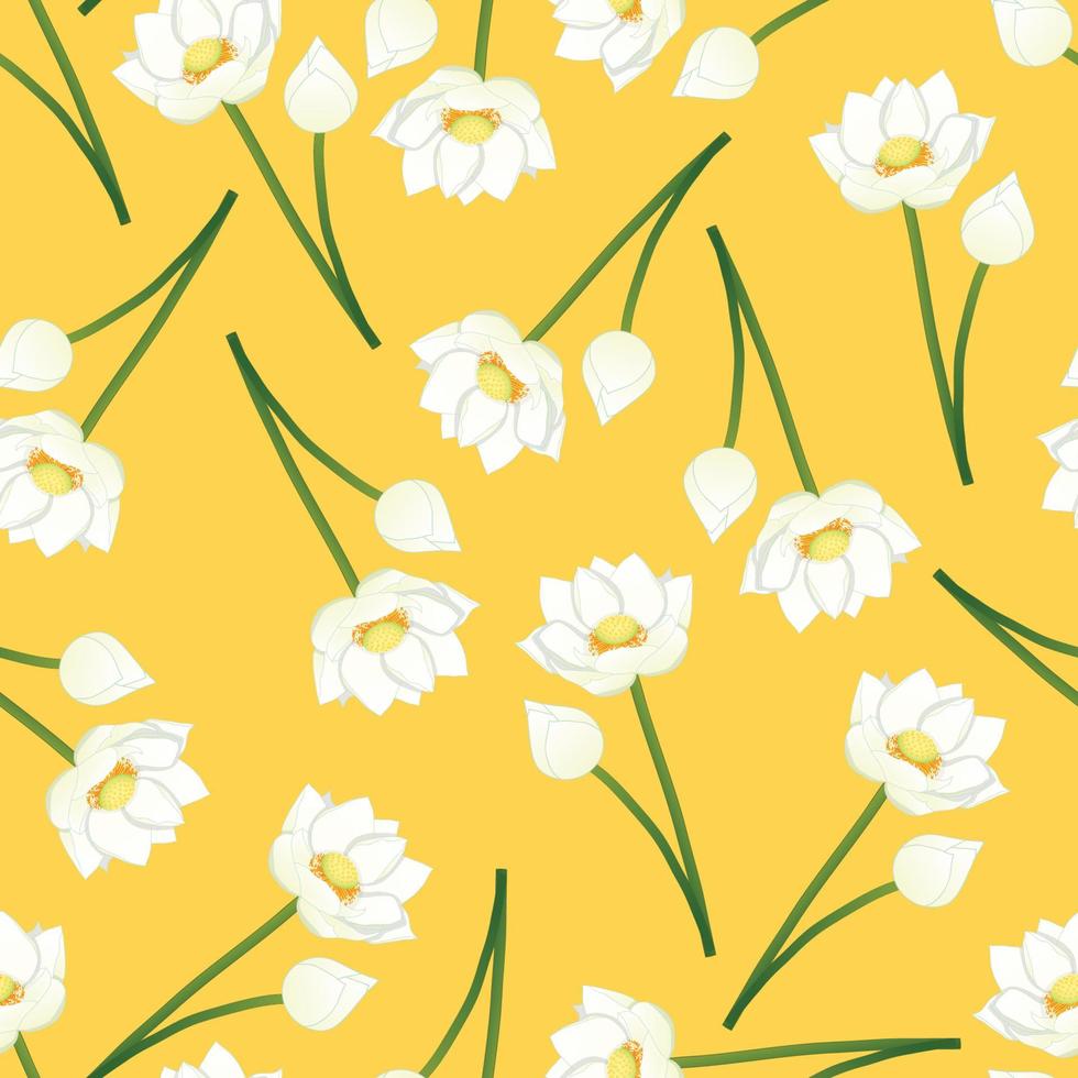 vit indisk lotus på gul bakgrund vektor