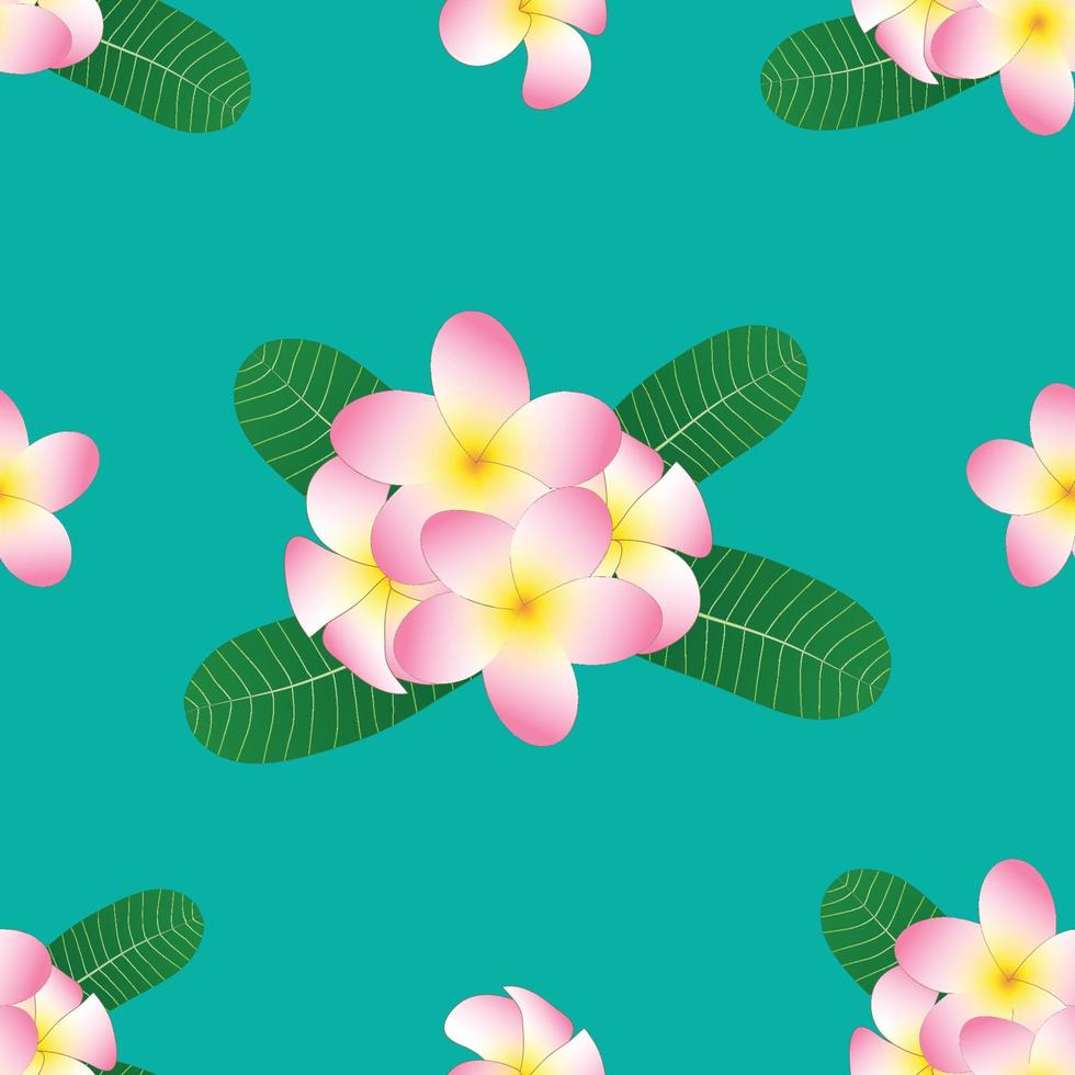 rosa Plumeria, Frangipani auf grünblauem Hintergrund. Vektor-Illustration vektor