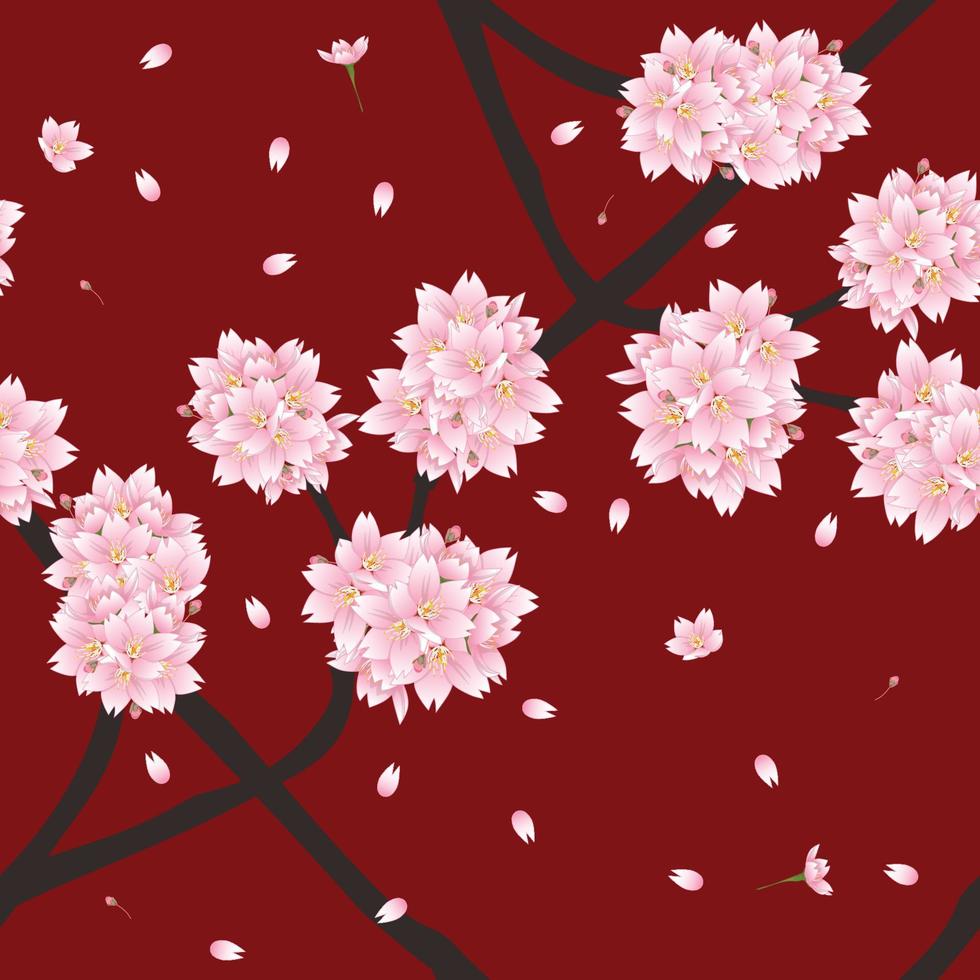 sakura körsbärsblomma blomma på röd bakgrund vektor